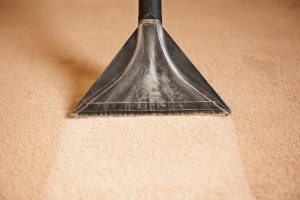 how often should you shampoo your carpet