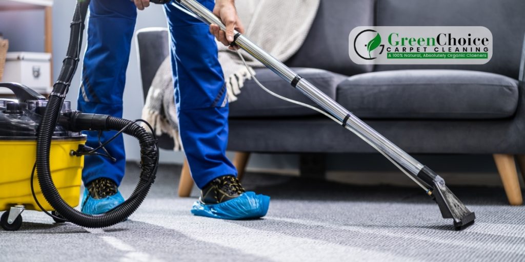 Exploring Best Carpet Cleaning Services vs. DIY Approaches